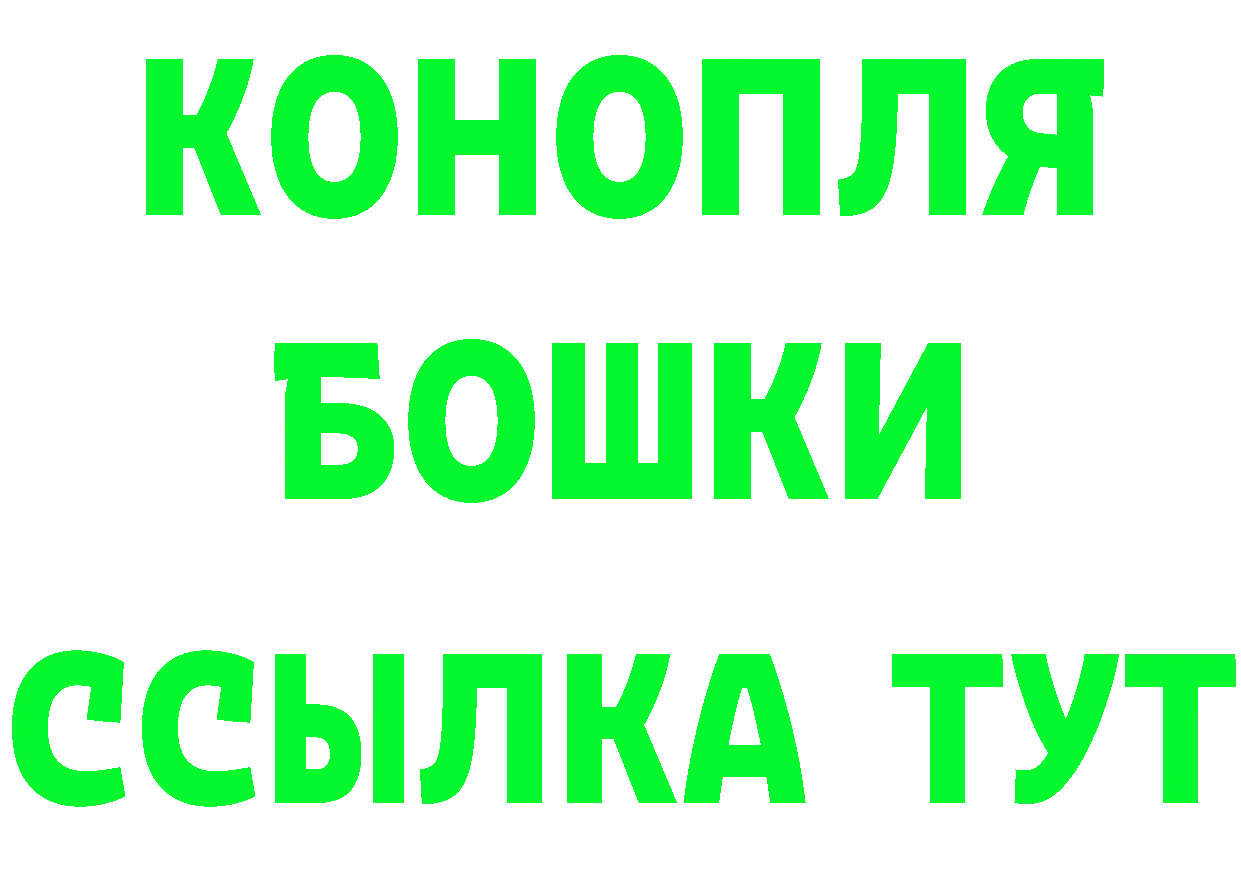 APVP СК КРИС вход площадка гидра Кашин